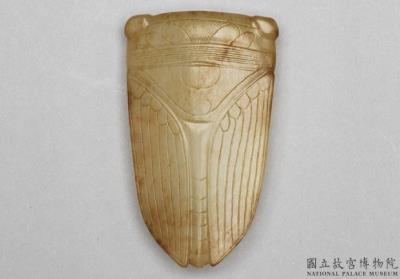 图片[2]-Jade Cicada, late Warring States period to early Western Han dynasty, 275-141 BCE-China Archive